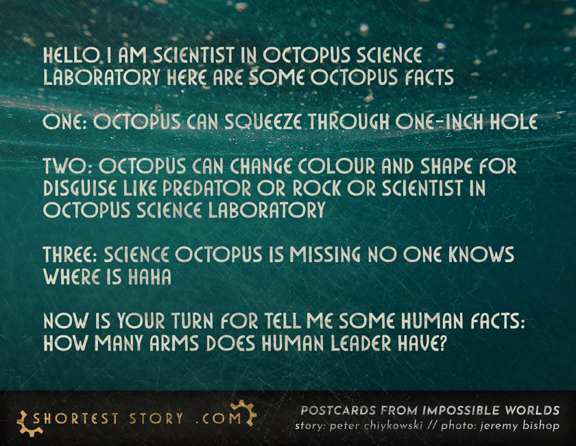 a very short science fiction story about octopuses