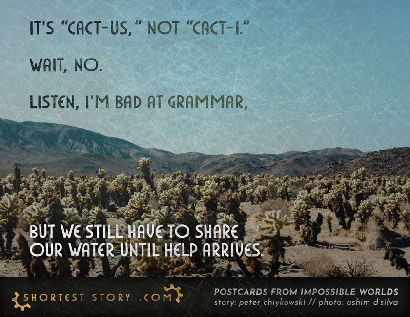 a short story about grammar and dying in a desert