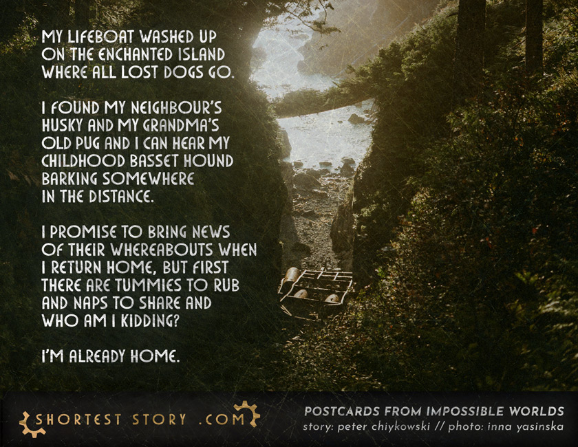 a short story about being lost and found