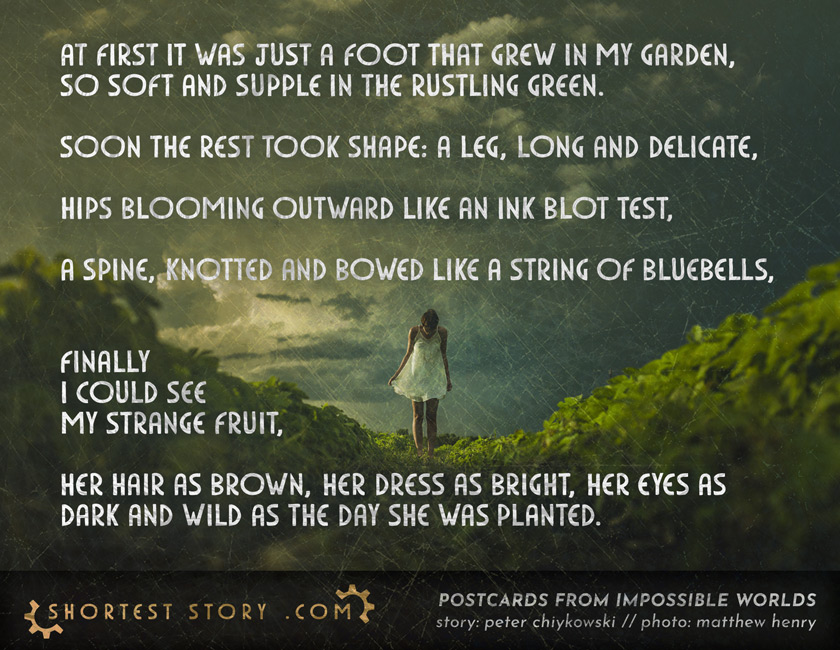 a short story about blooming gardens and buried secrets