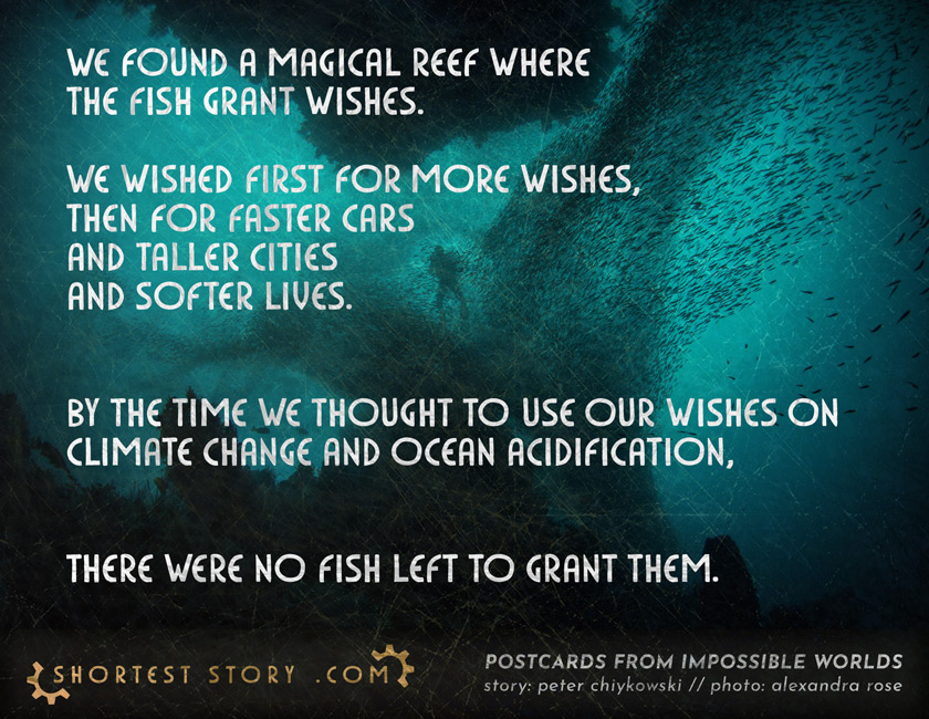 a short story about wishing on fishes and fishing for wishes