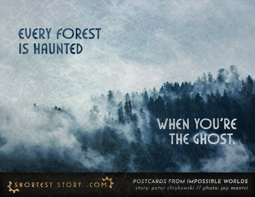a short story about forests and ghosts and wherever you go, there you are
