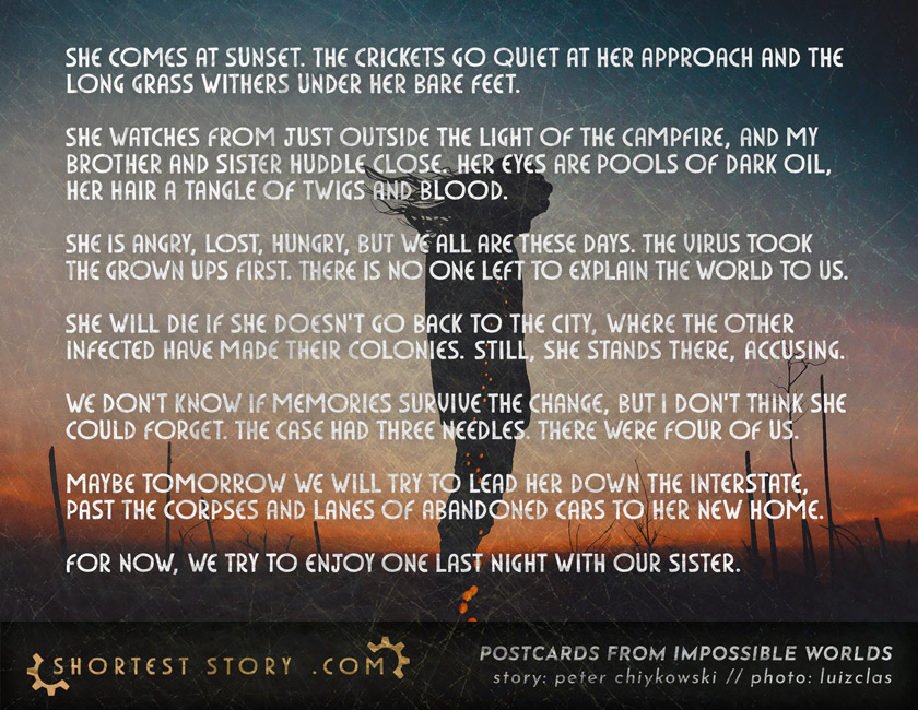 One Last Night With Our Sister a short story about a family campfire in a world that has fallen apart