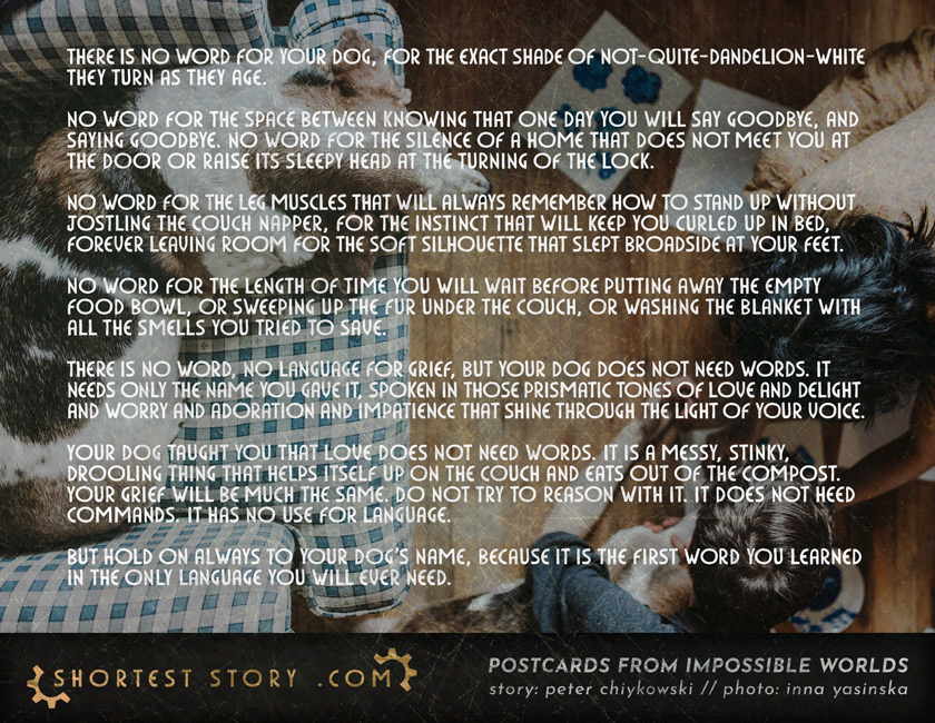a short story about your dog and the word it taught you