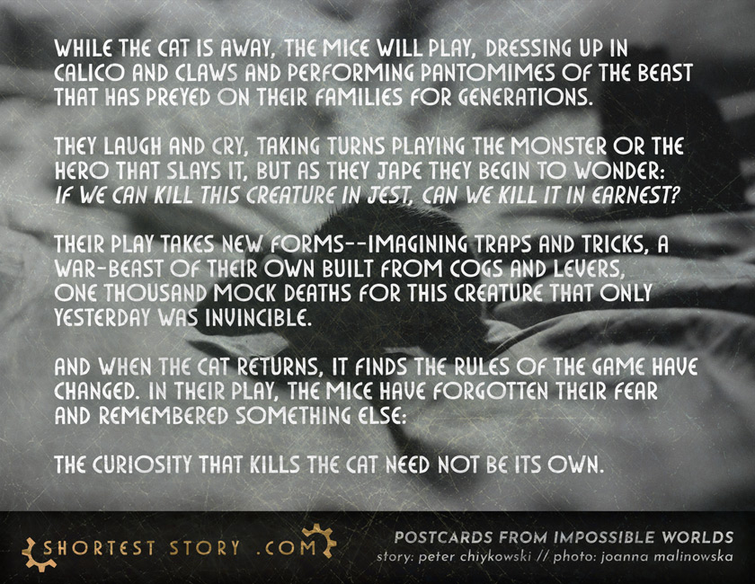 a short story about the cat going away and the death of tyrants