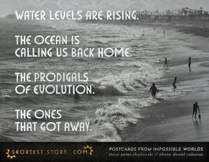 Prodigals a short story about the one that got away being taken back