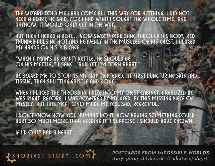 a story about a tin man on a red quest