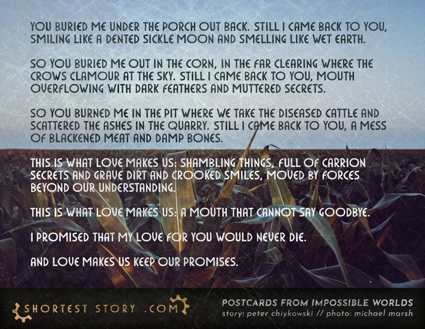 a postcard story about a love that will never die