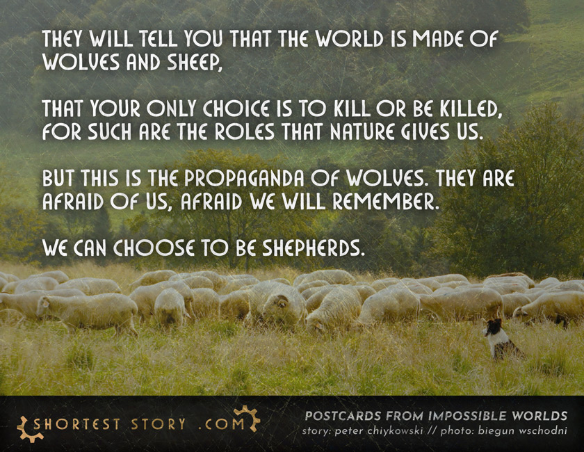 Wolves and Sheep a parable about wolves and sheep and the roles that nature gives us