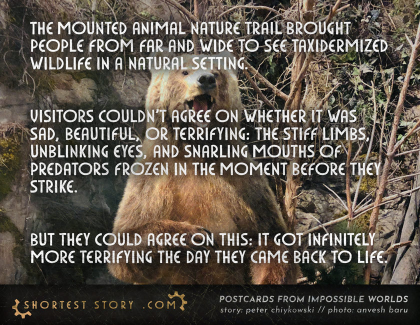 a story about controlling the future and past