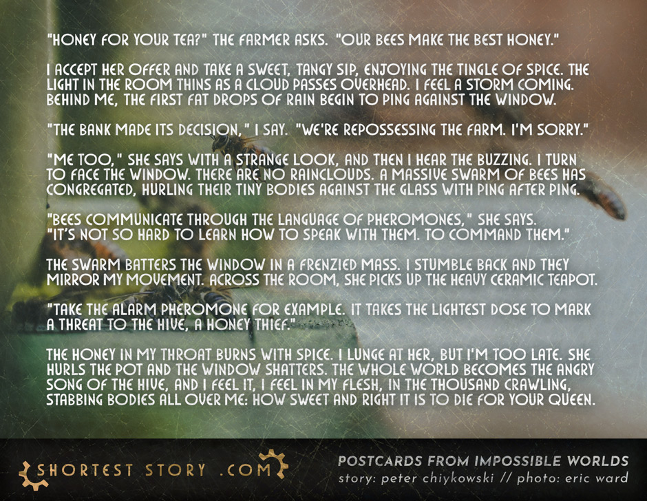 a short story about a honey farm, a bee hive, and a cup of tea