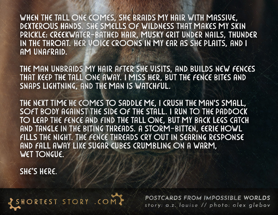 Her Voice Like Lightning // guest story by A.Z. Louise a guest story about a horse and a voice from the wild