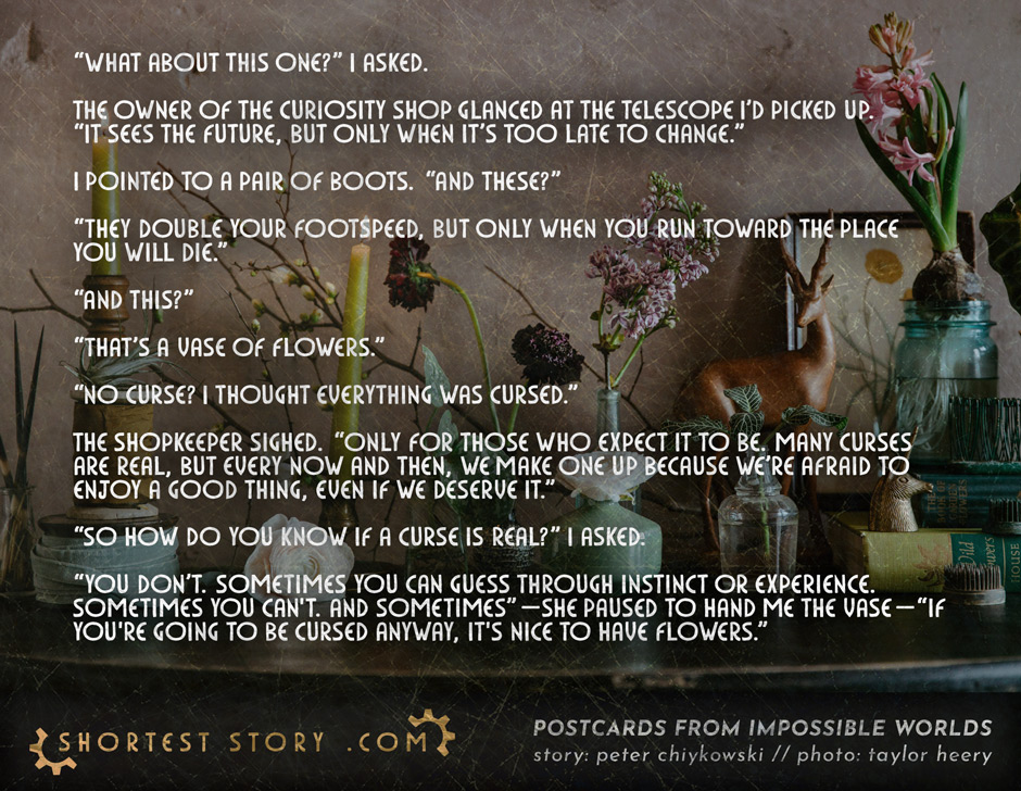 A Curious Curse a short story about a curiosity shop and the nature of curses