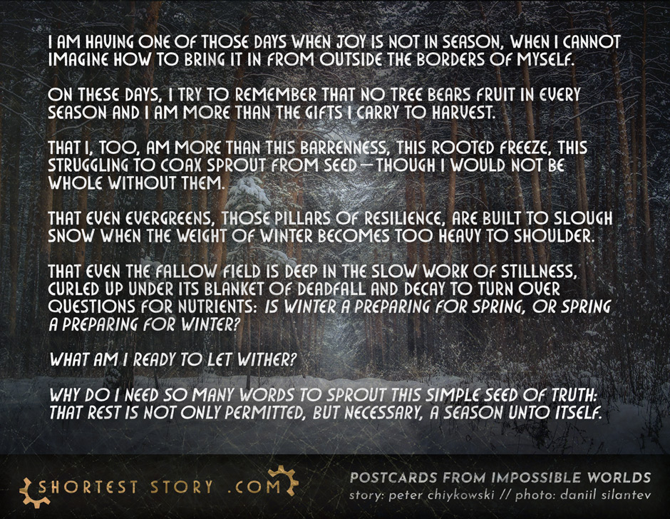 In Season a postcard poem about winter and preparing for spring