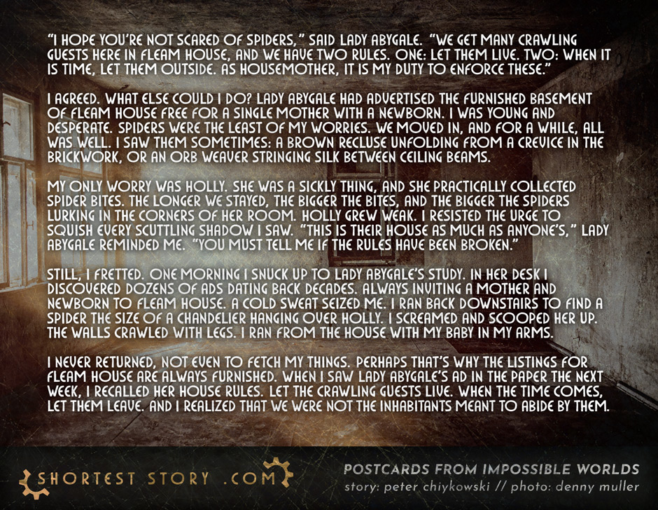 a postcard story about house rules and house spiders